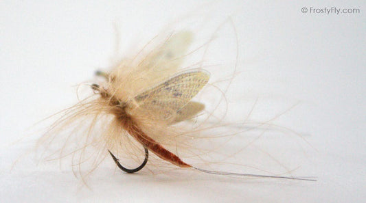 Hemingway's Realistic Mayfly Dry in Action
