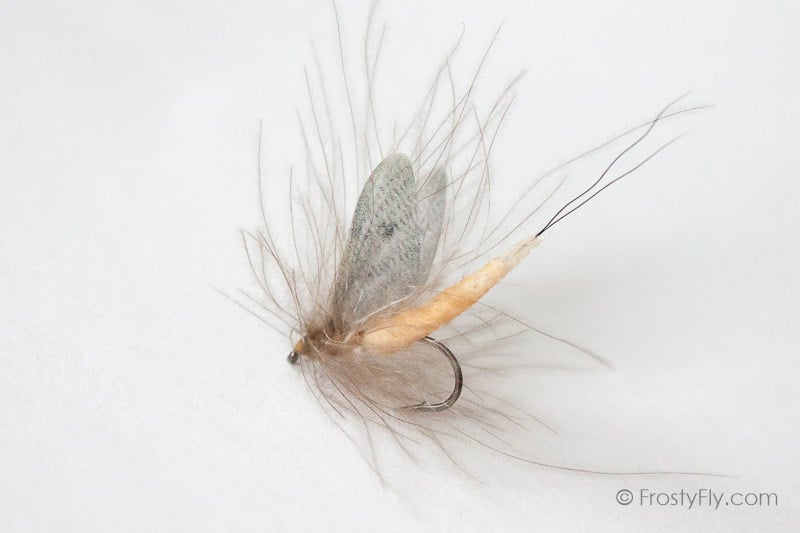 Realistic Mayfly Dry