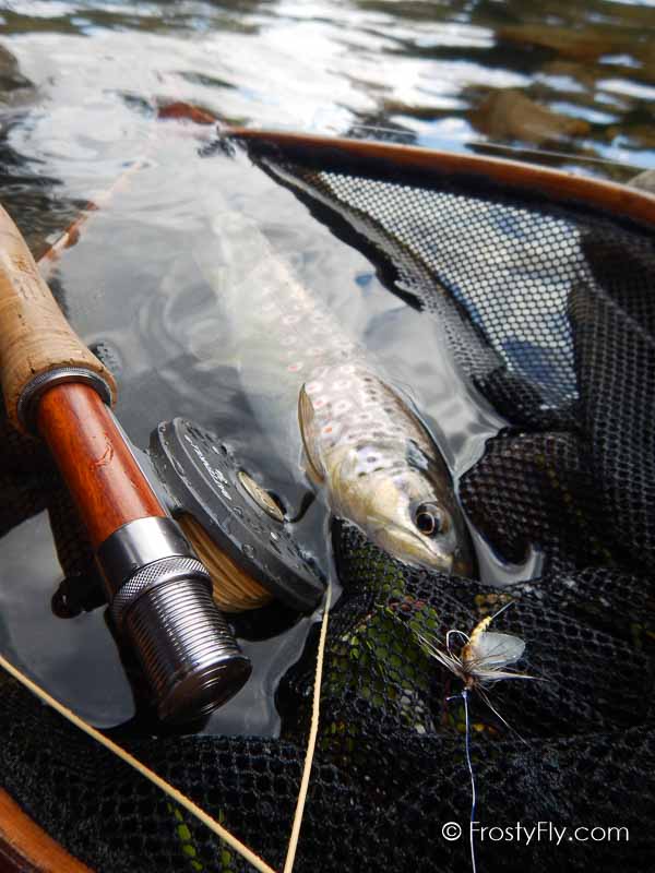 Hemingway's Realistic Mayfly Dry in Action