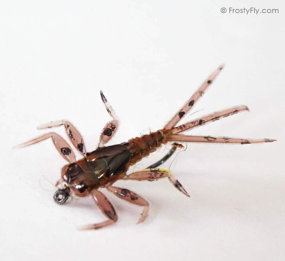 Hemingway's Realistic Mayfly Nymph