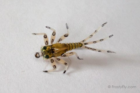 Realistic Mayfly Nymph