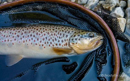 Hemingway's Realistic Mayfly Nymph in Action