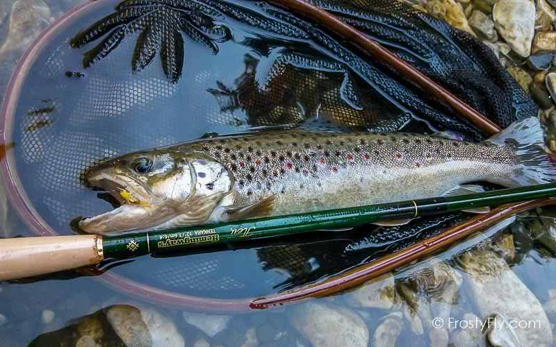 Hemingway's Realistic Mayfly Nymph in Action
