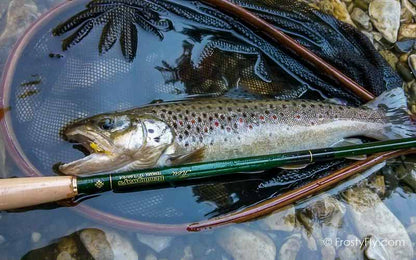 Hemingway's Realistic Mayfly Nymph in Action