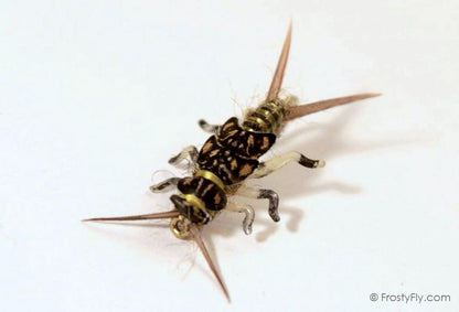 Hemingway's Realistic Stonefly