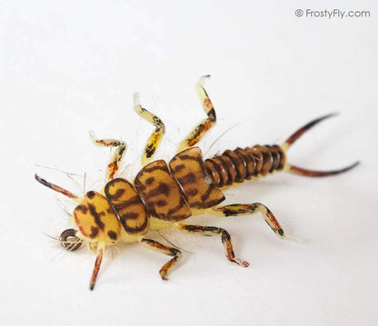 Semi-Realistic Stonefly Nymph