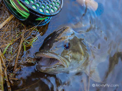 Hemingway's Realistic Stonefly Nymph in Action