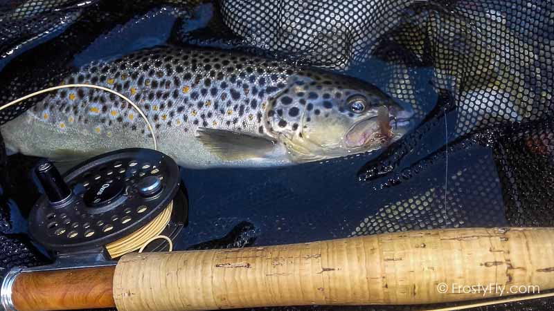 Hemingway's Realistic Caddis Dry