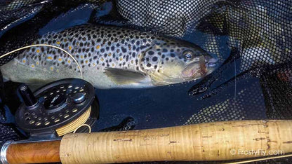 Hemingway's Realistic Caddis Dry