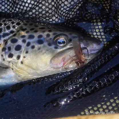 Hemingway's Realistic Stonefly in Action