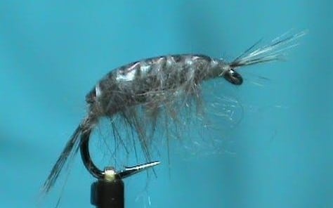 Hemingway's Scud Fly tied by Jim Misiura using Gammarus Back