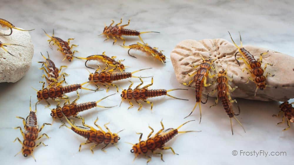 Hemingway's Stonefly Nymphs