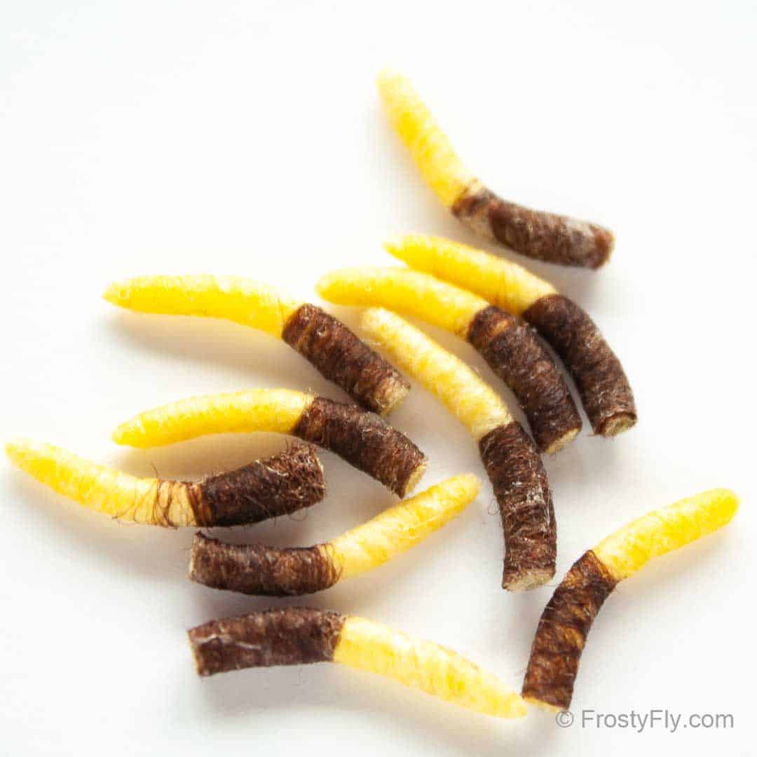 Hemingway's Tube Body Caddis Pupa - Light Yellow