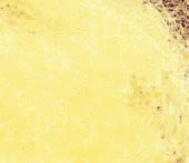 Hemingway's UV Ice Dubbing