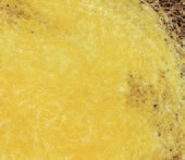 Hemingway's UV Ice Dubbing