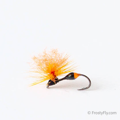 Hi-Vis Parachute Ant - Black with Orange Butt