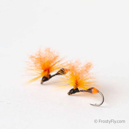 Hi-Vis Parachute Ant - Black with Orange Butt