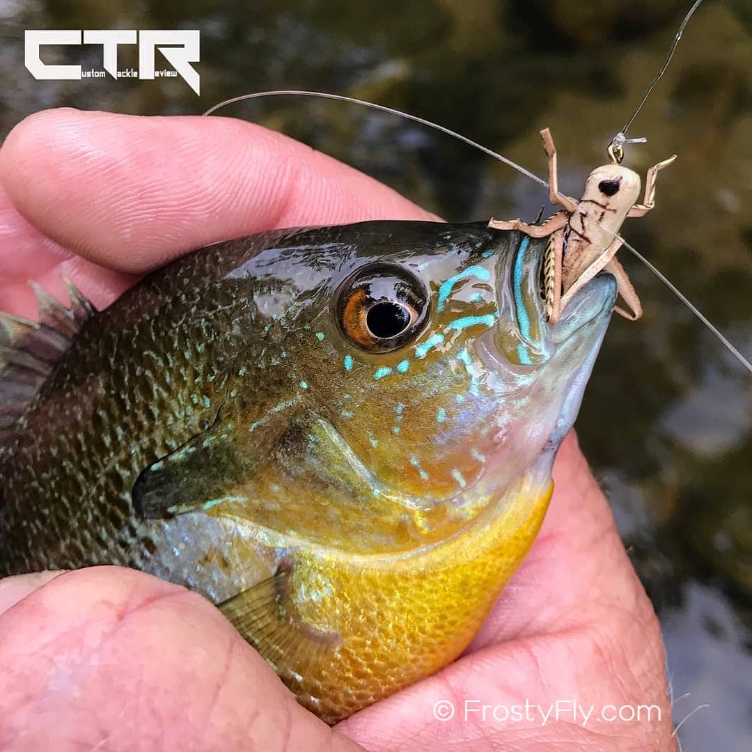 Trout - Realistic Hopper