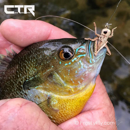 Trout - Realistic Hopper