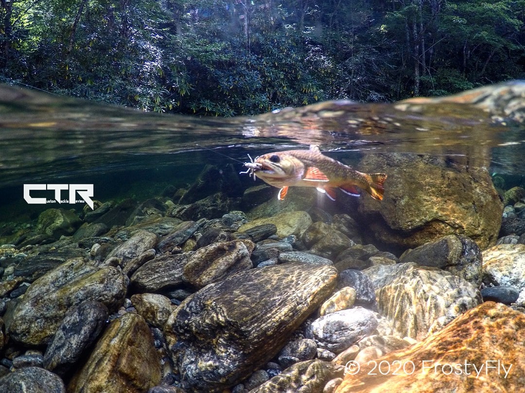 Frosty Fly Hoppers trout love them