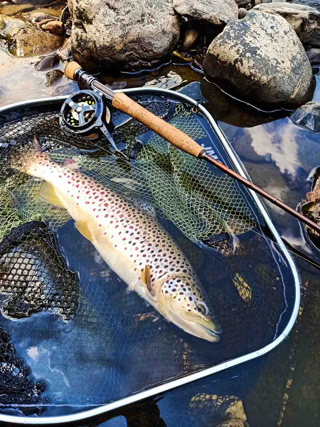 JMC Yoto Semi-Automatic Fly Reel – Frosty Fly