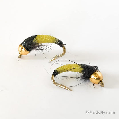 Lemon Black Scud Nymph ZTS1
