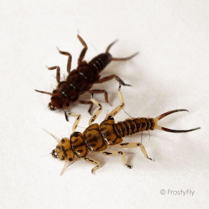 Hemingway's Realistic Stonefly Nymphs