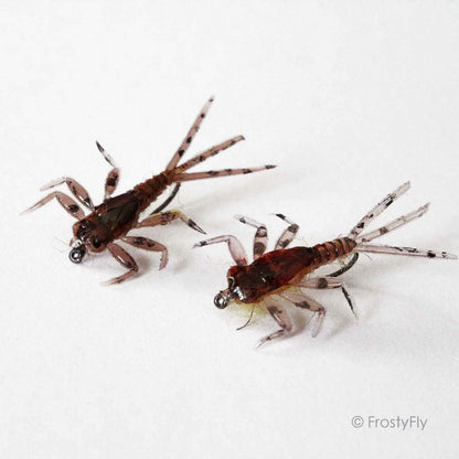 Mayfly Life Cycle & How to Fish Mayfly Patterns - Hemingway's Mayfly Nymphs