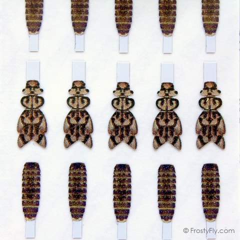 Realistic Stonefly Nymph Wing Buds & Back