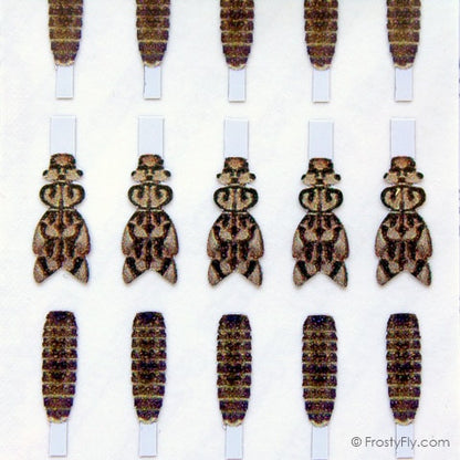 Realistic Stonefly Nymph Wing Buds & Back