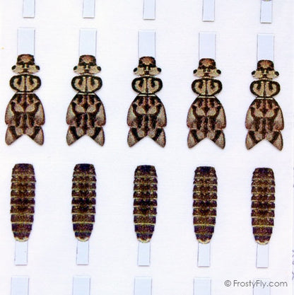 Realistic Stonefly Nymph Wing Buds & Back