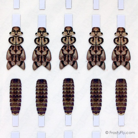 Realistic Stonefly Nymph Wing Buds & Back