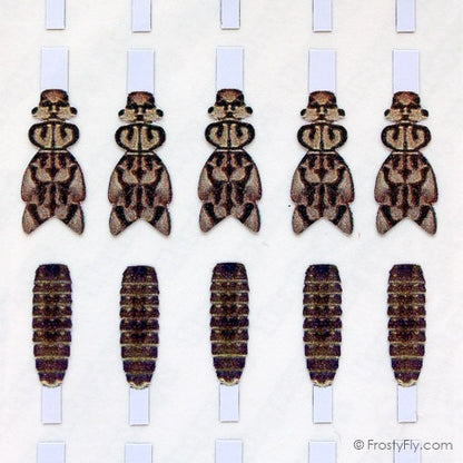 Realistic Stonefly Nymph Wing Buds & Back