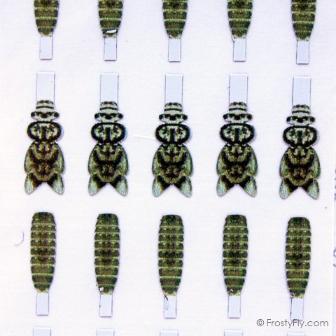 Realistic Stonefly Nymph Wing Buds & Back