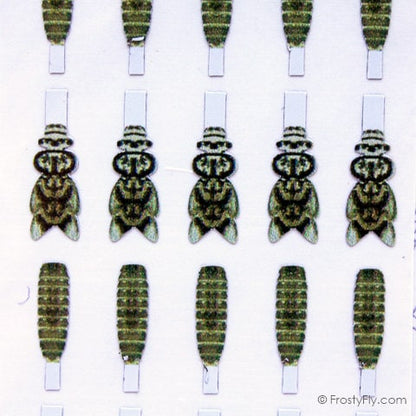 Realistic Stonefly Nymph Wing Buds & Back