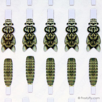 Realistic Stonefly Nymph Wing Buds & Back