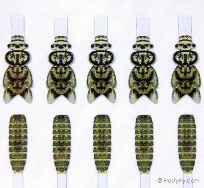 Realistic Stonefly Nymph Wing Buds & Back