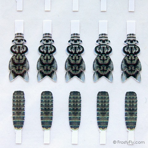 Realistic Stonefly Nymph Wing Buds & Back