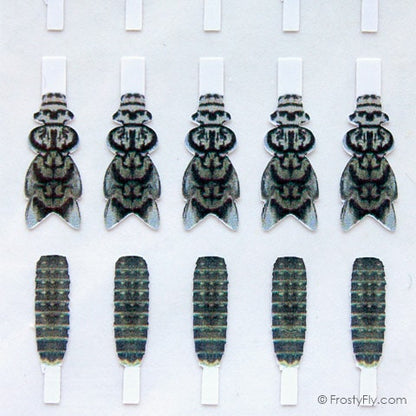 Realistic Stonefly Nymph Wing Buds & Back