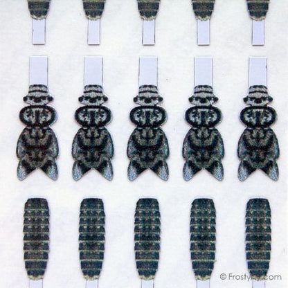 Realistic Stonefly Nymph Wing Buds & Back