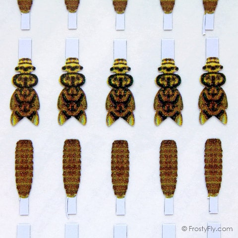 Realistic Stonefly Nymph Wing Buds & Back
