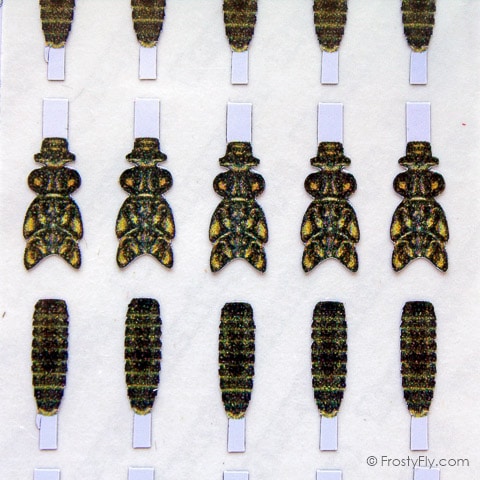 Realistic Stonefly Nymph Wing Buds & Back