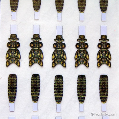 Realistic Stonefly Nymph Wing Buds & Back