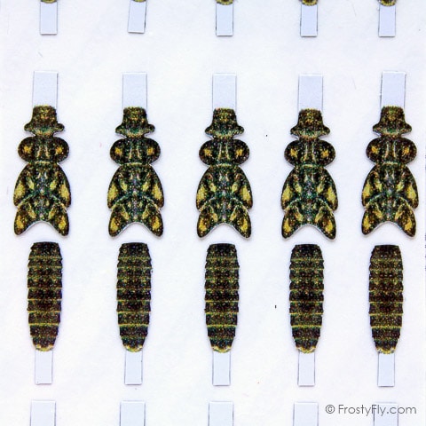 Realistic Stonefly Nymph Wing Buds & Back