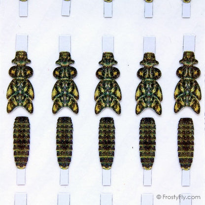 Realistic Stonefly Nymph Wing Buds & Back