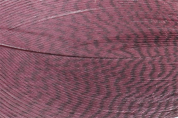 Mallard Barred Feathers - Claret