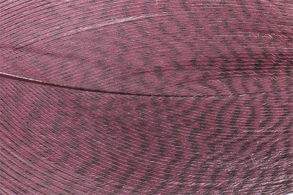 Mallard Barred Feathers - Claret