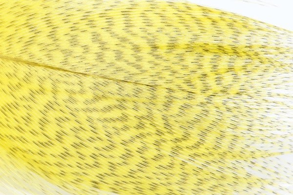 Mallard Barred Feathers - Yellow