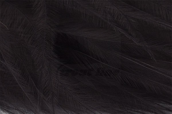 Marabou Feathers - Hand-Selected - Black