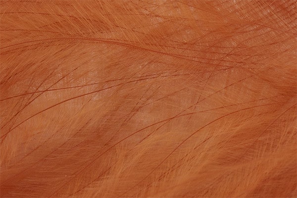 Marabou Feathers - Hand-Selected - Dark Cinnamon